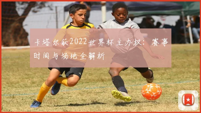 卡塔尔获2022世界杯主办权：赛事时间与场地全解析