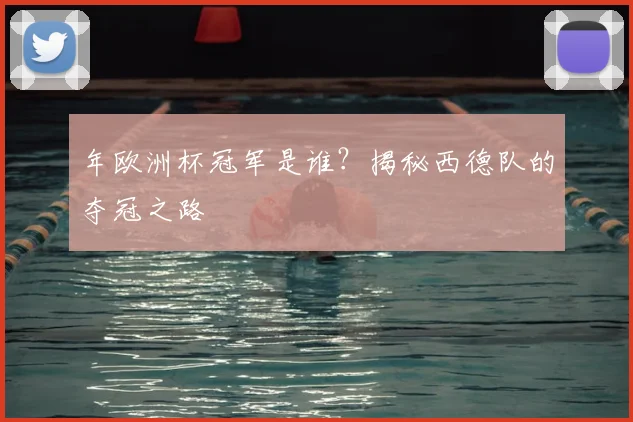 年欧洲杯冠军是谁?揭秘西德队的夺冠之路