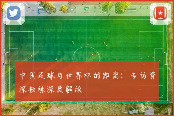 中国足球与世界杯的距离：专访资深教练深度解读
