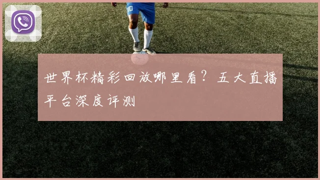 世界杯精彩回放哪里看？五大直播平台深度评测
