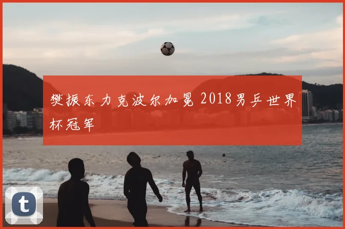 樊振东力克波尔加冕 2018男乒世界杯冠军