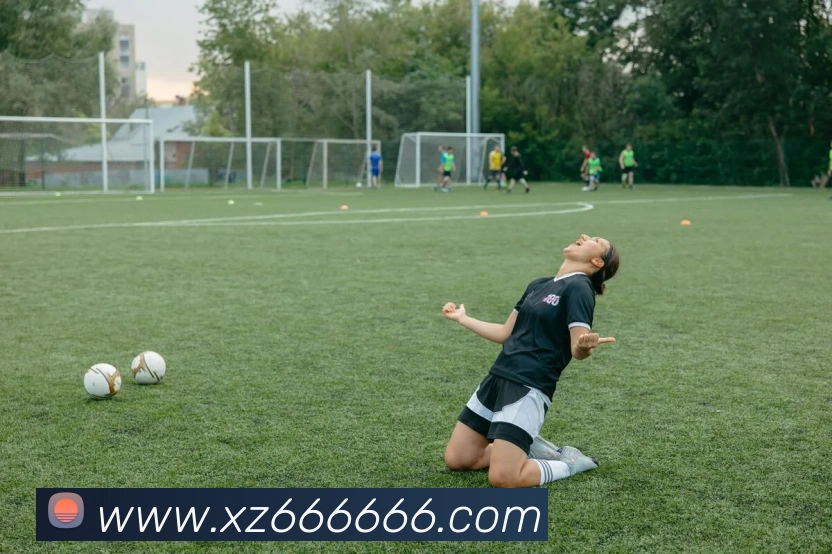 App Interface Preview