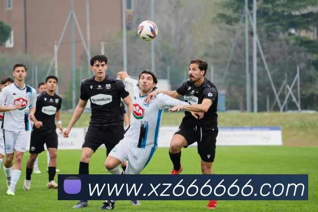 米乐官网-首页APP 封面图